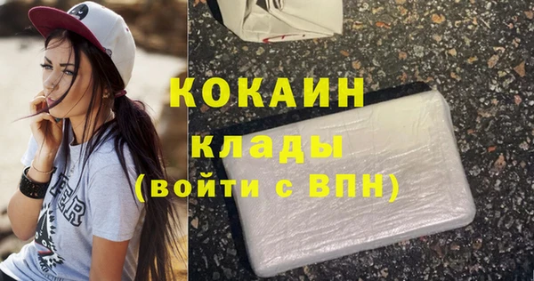 шишки Аркадак