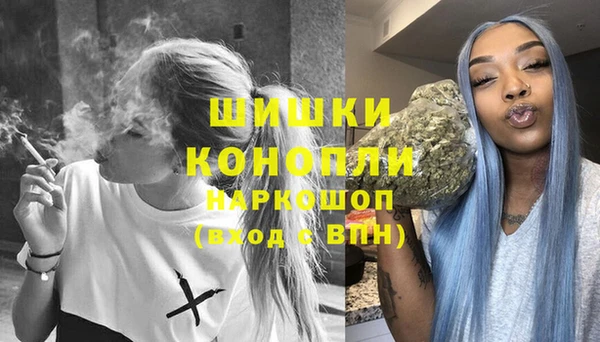 шишки Аркадак