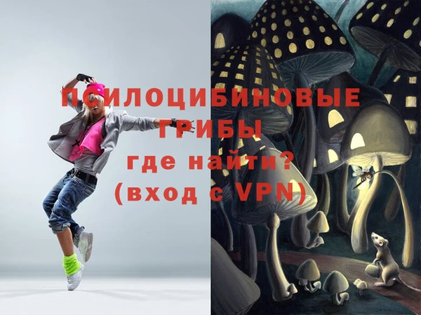 ПСИЛОЦИБИНОВЫЕ ГРИБЫ Арсеньев