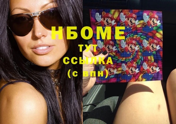 шишки Аркадак