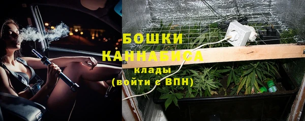 меф Пересвет