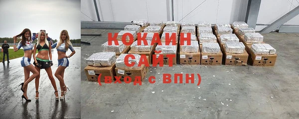шишки Аркадак