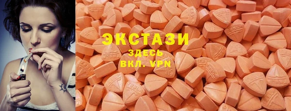 шишки Аркадак