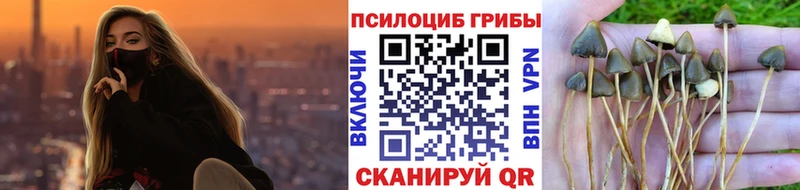 Псилоцибиновые грибы прущие грибы  дарк нет формула  Лихославль  купить наркоту 